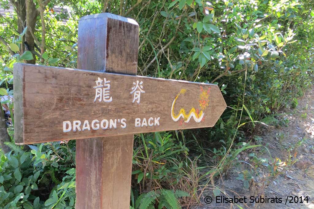L’Esquena del Drac (i altres excursions a Hong Kong)