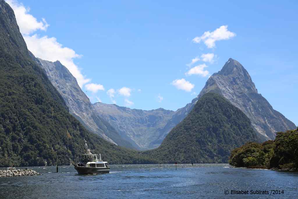 Milford Track (part two)
