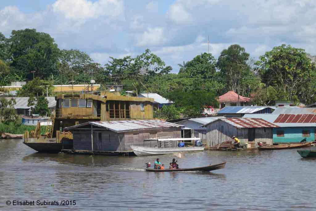 Down the Amazon River