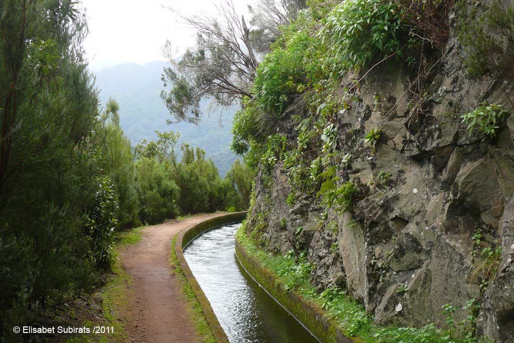 Hiking along the levadas (Levada da Ribeira da Janela)