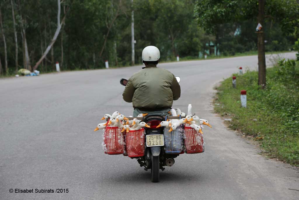 Vietnam on two wheels