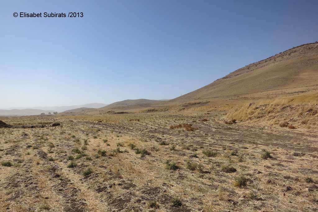Dry season in Iraq